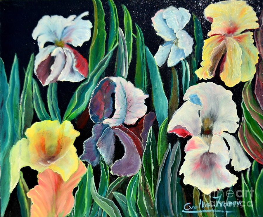 Floers Painting -                  Gorgeos iris by Cvetko Ivanov