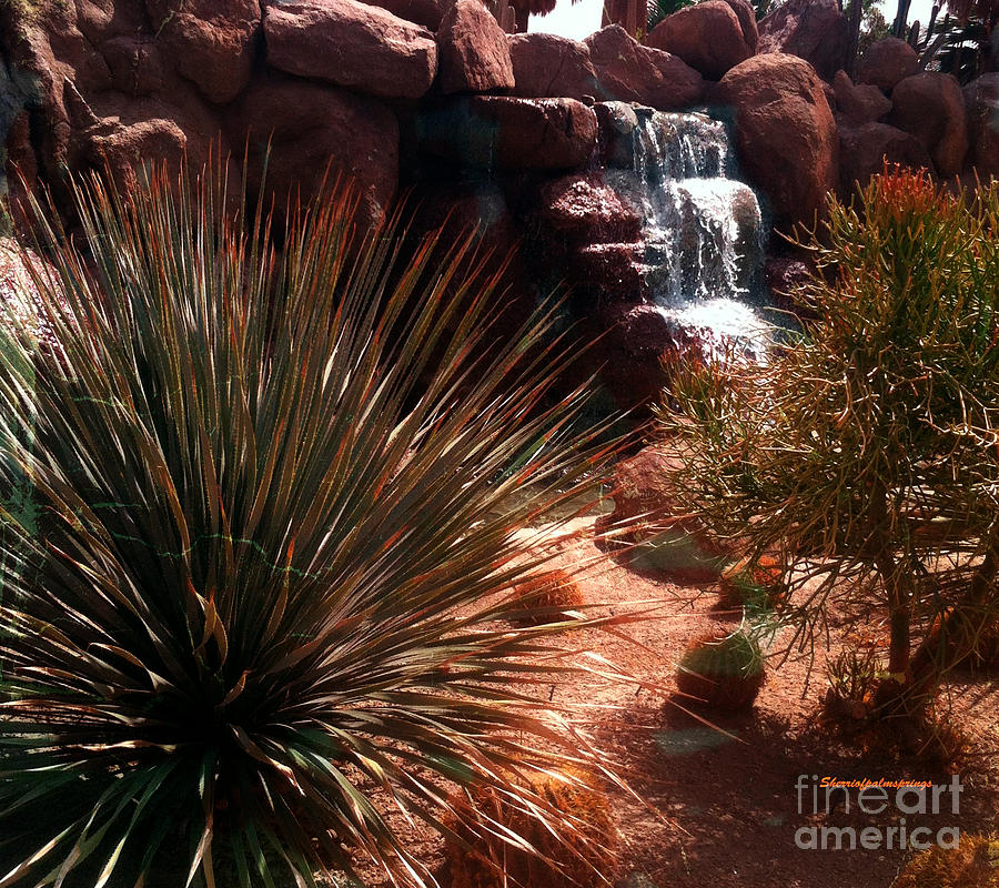 Desert Photograph - Gorgeous Art By The Best Artist by Sherris - Of Palm Springs