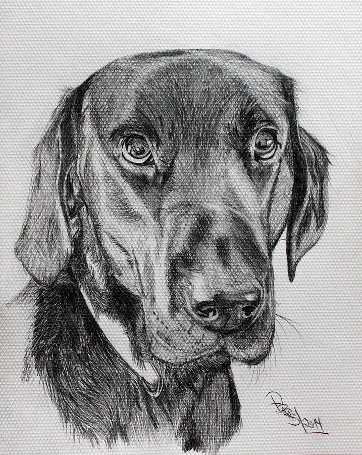 Gorgeous Boy Drawing by Richard Bougaardt - Fine Art America