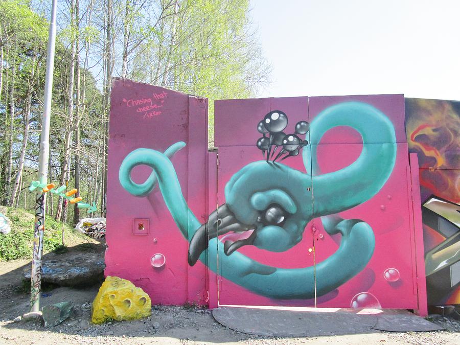 Gorgeous Graffiti Photograph by Rosita Larsson