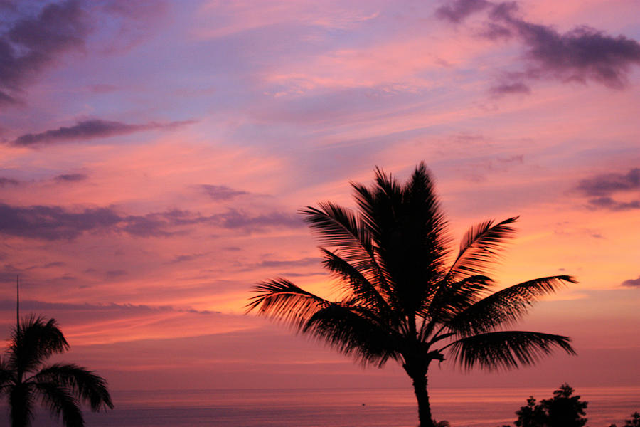 Gorgeous Hawaiian Sunset - 1 Photograph by Karen Nicholson