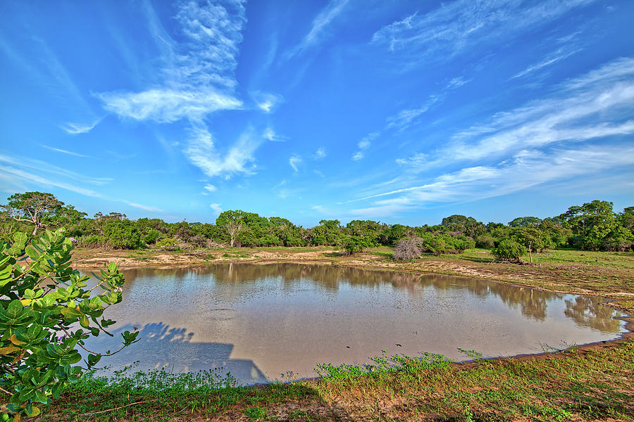 gorgeous landscape with a pond and shining blue sky in the Yala Nationalpark Photograph by Gina Koch