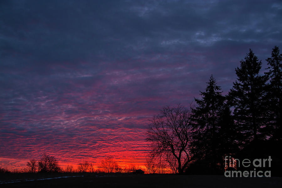 Gorgeous Morning Landscape Photograph by Cheryl Baxter