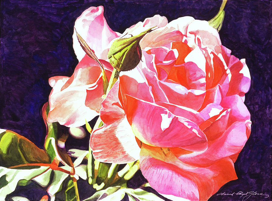 Gorgeous Rose Painting by David Lloyd Glover