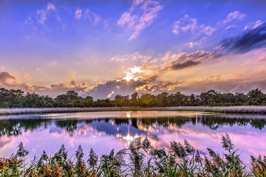 Gorgeous Sunset On A Chesapeake Bay Pond Photograph
