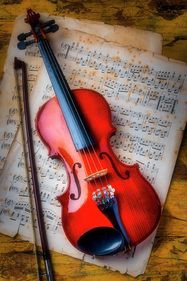 Gorgeous Violin On Sheet Music Photograph by Garry Gay