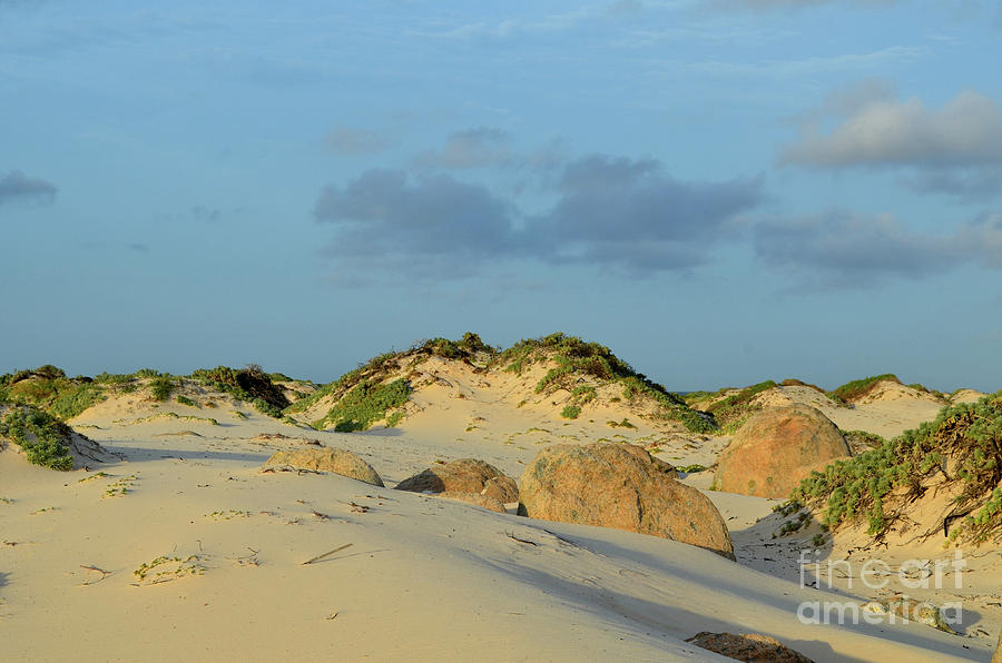 Gorgeous White Sand Beach and Sand Dunes in Aruba Photograph by DejaVu Designs