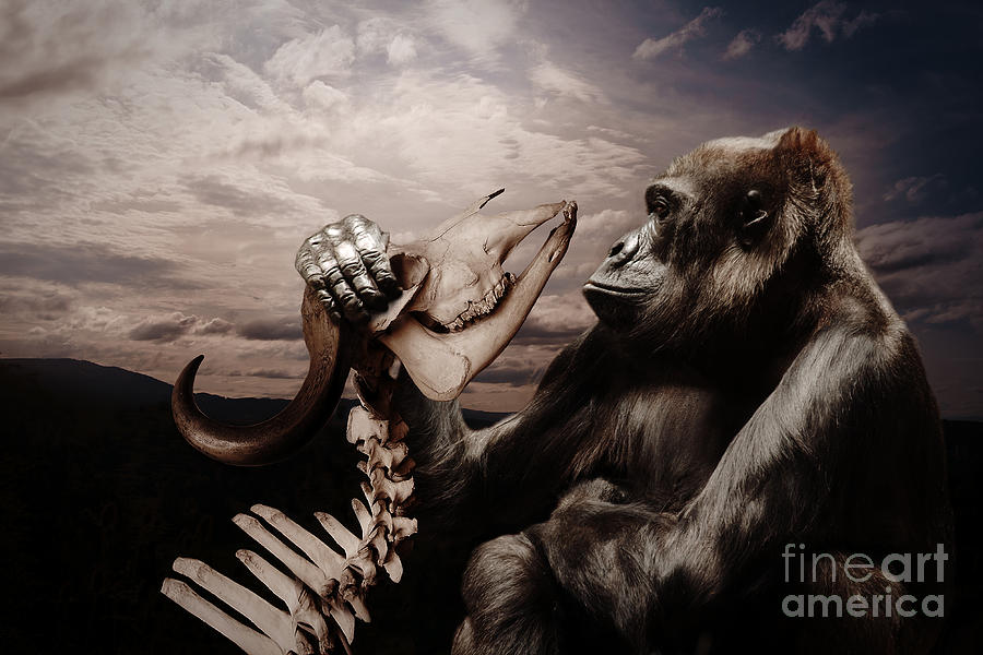 Gorilla and Bones Photograph by Christine Sponchia