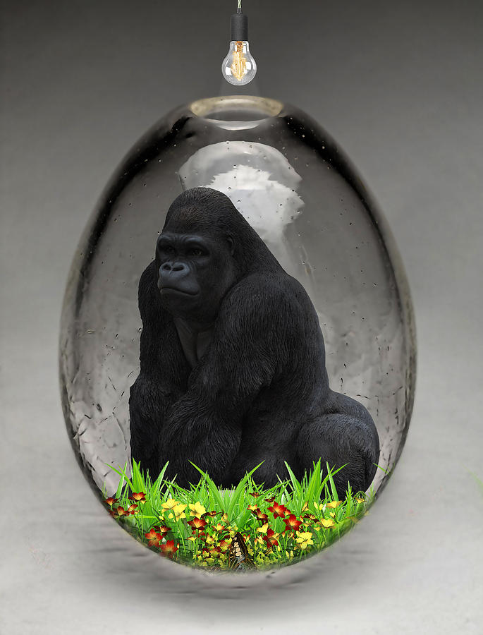 Gorilla Ape Art Mixed Media by Marvin Blaine