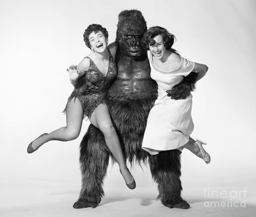 Gorilla Photograph - Gorilla At Large, 1954 by Granger
