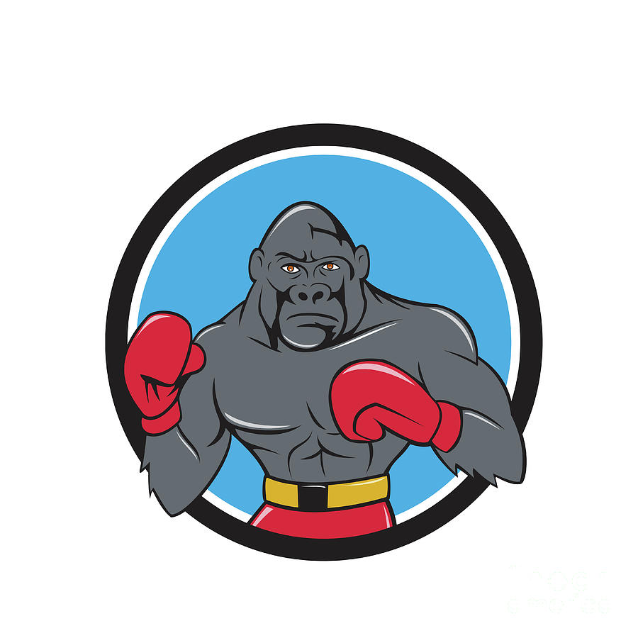 https://images.fineartamerica.com/images/artworkimages/mediumlarge/1/gorilla-boxer-boxing-stance-circle-cartoon-aloysius-patrimonio.jpg
