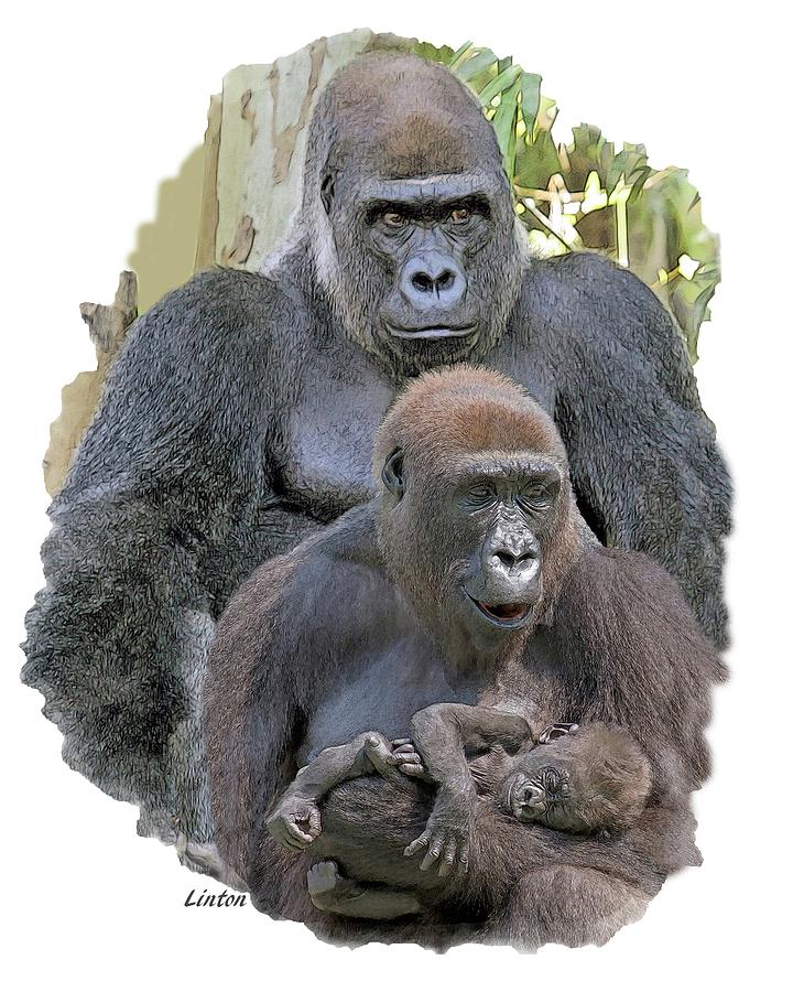 Gorilla Family Portrait Photograph by Larry Linton