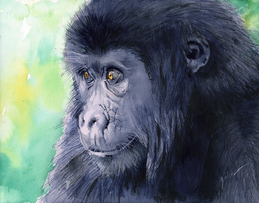 Wildlife Painting - Gorilla by Galen Hazelhofer