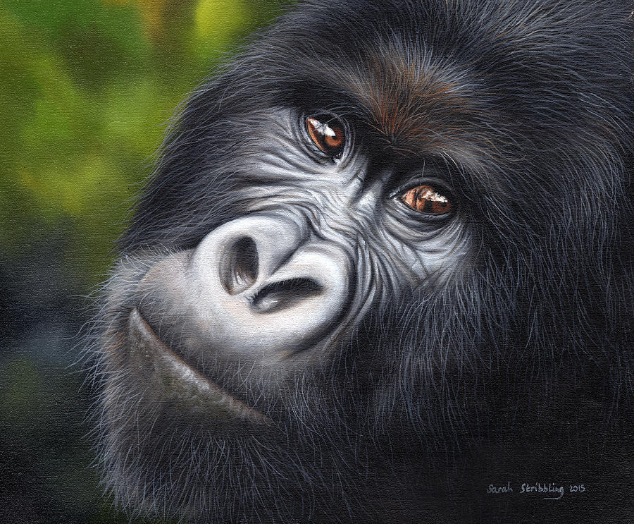 Wildlife Painting - Gorilla by Sarah Stribbling