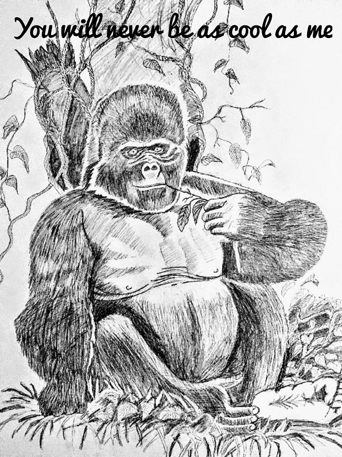 Gorilla Drawing