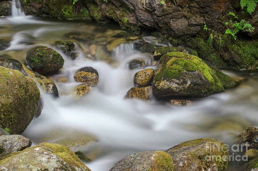 Goritsa Waterfalls stream-Bulgaria Photograph by Steve Somerville