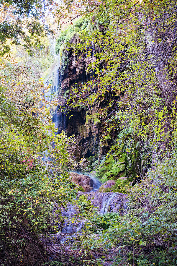 Gorman Falls at Colorado State Park III - San Saba Texas Hill Country Photograph by Silvio Ligutti