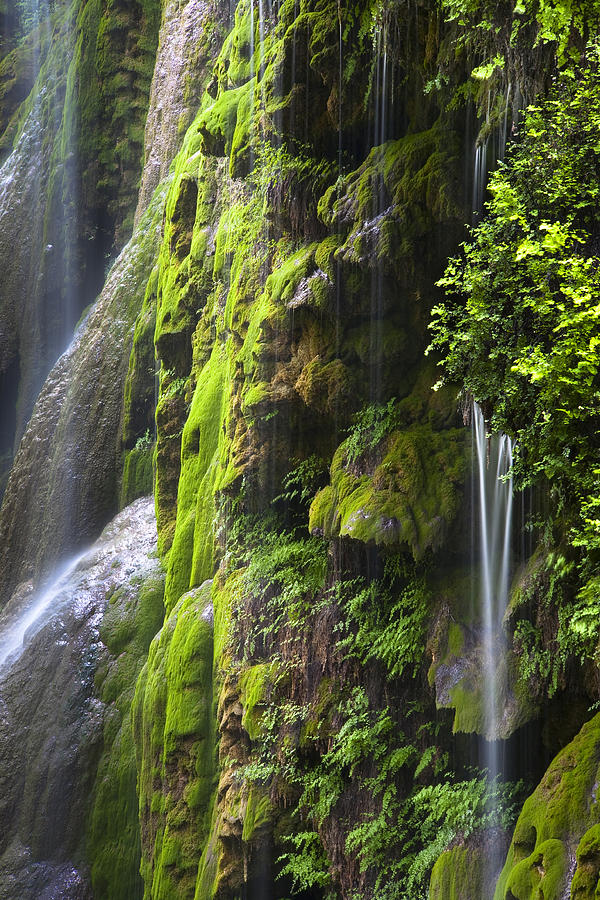 Gorman Falls Colorado Bend State Park Photograph by Mark Weaver - Fine ...