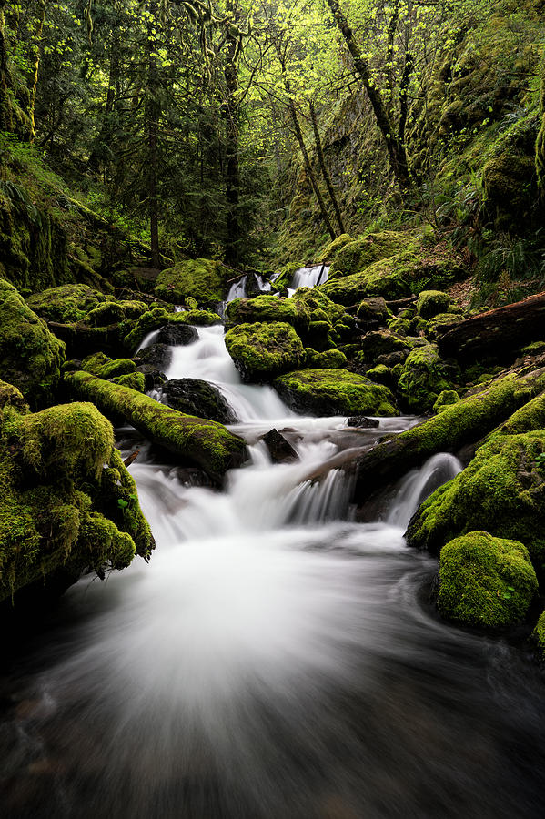 Gorton Creek Photograph by Brian Bonham