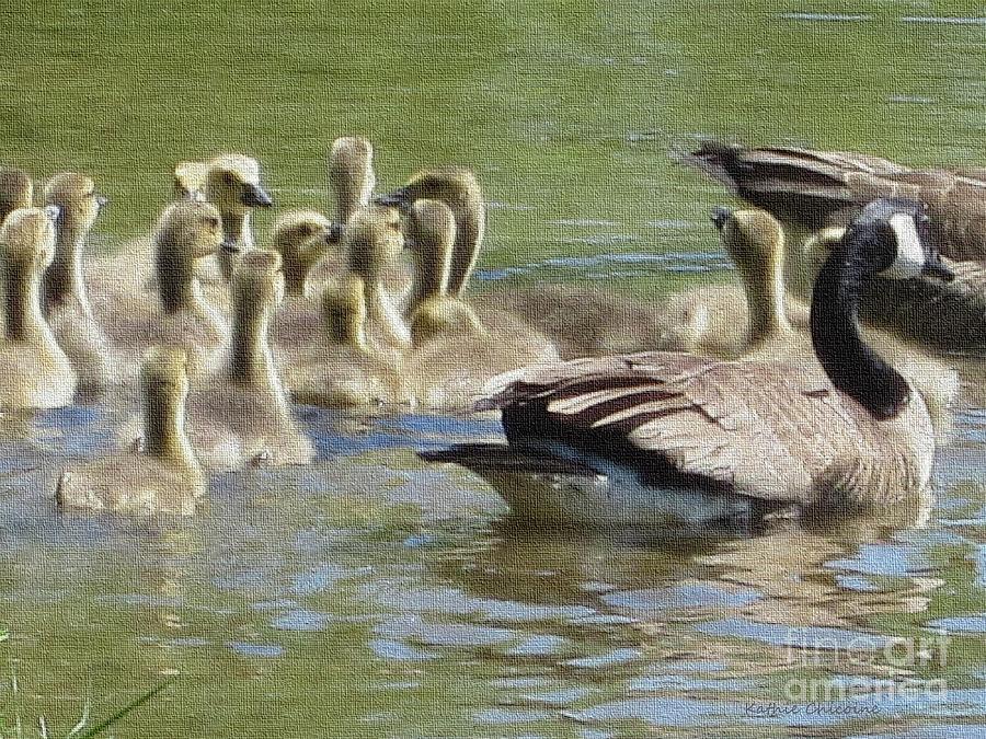 Goslings Learning to Swim Photograph by Kathie Chicoine