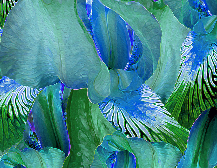 Iris Digital Art - Gossameera 11 by Lynda Lehmann