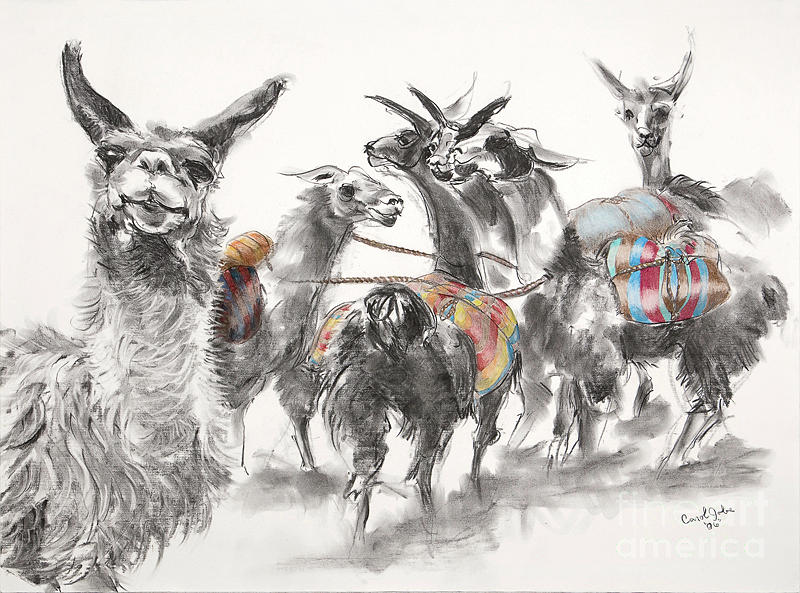 Llama Drawing - Gossip Circle by Carol Jobe