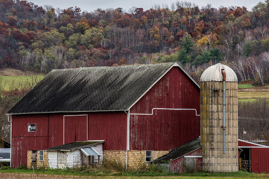 Barn With Milk Poster Photograph by Paul Freidlund