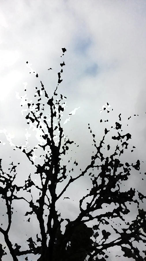 Goth Tree Clouded Sky Digital Art