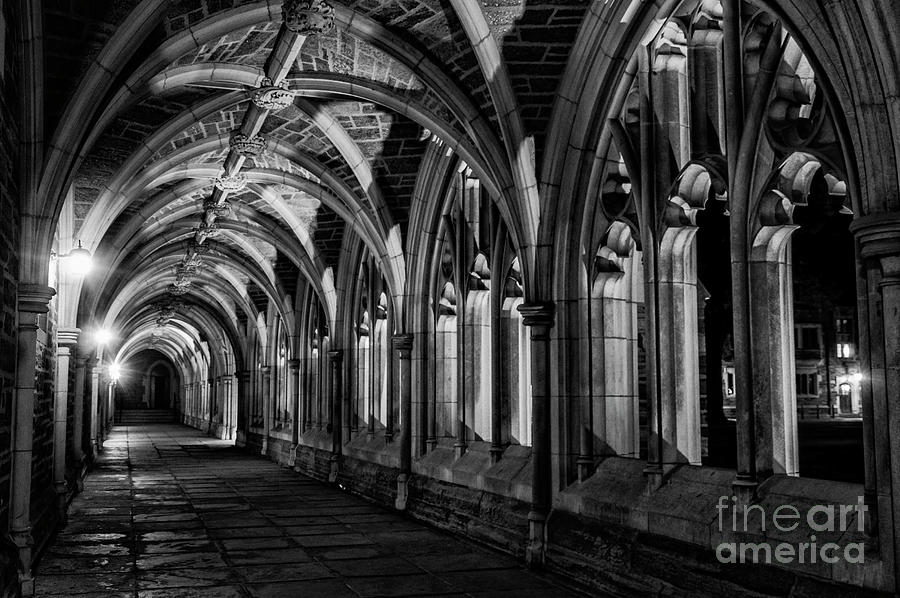 Gothic Arches Photograph by Debra Fedchin