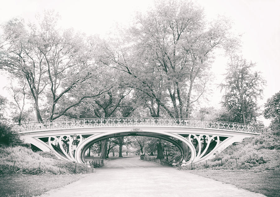 Gothic Bridge Nostalgia Photograph by Jessica Jenney