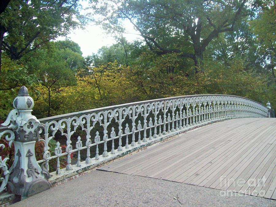 New York City Photograph - Gothic Bridge of Central Park by Carol Riddle