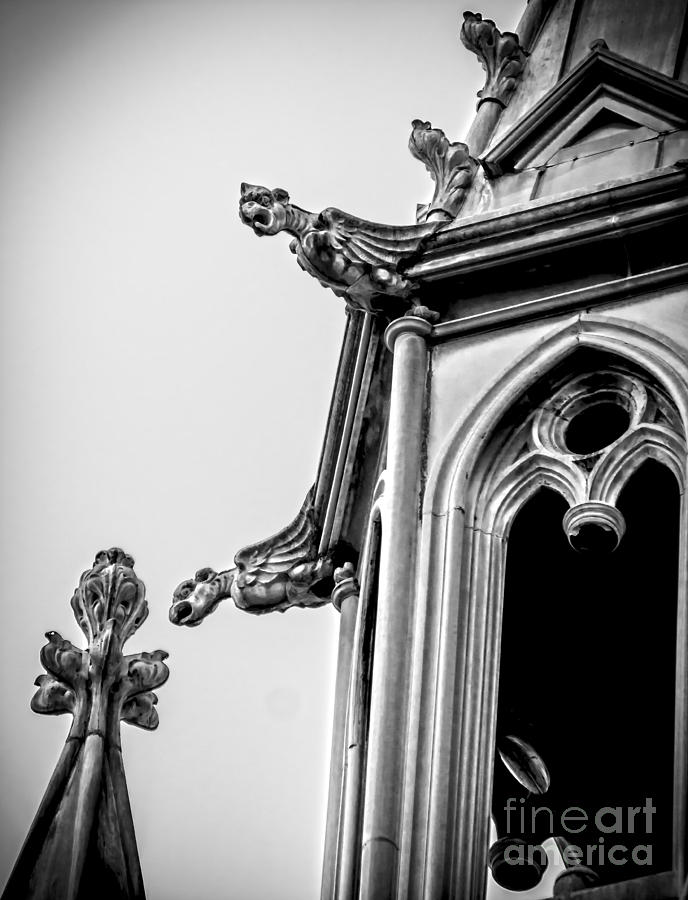 Architecture Photograph - Gothic Gargoyles by James Aiken