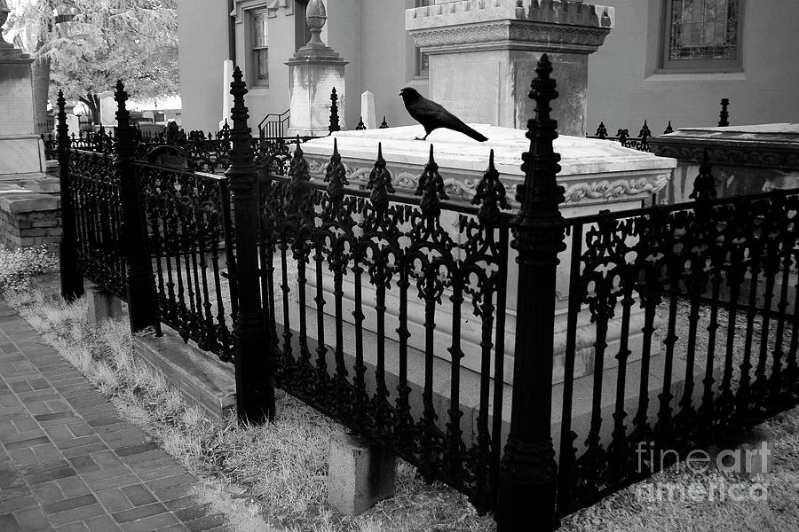 Gothic Haunting Surreal Cemetery Gate Coffin With Raven - South Carolina Revolutionary War Grave Photograph by Kathy Fornal