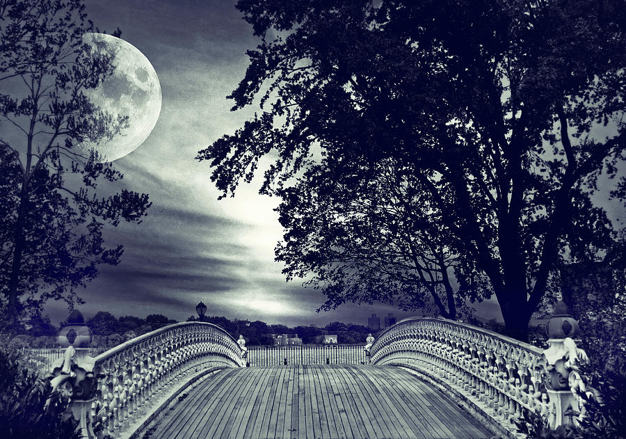 Nature Photograph - Gothic Moon by Jessica Jenney