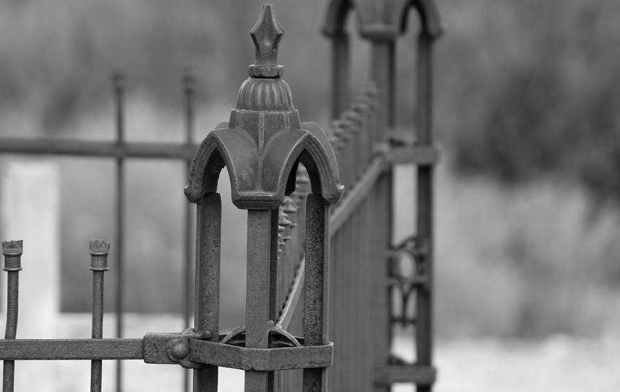 Gothic Ornamental Fence in Boothill Photograph by Colleen Cornelius