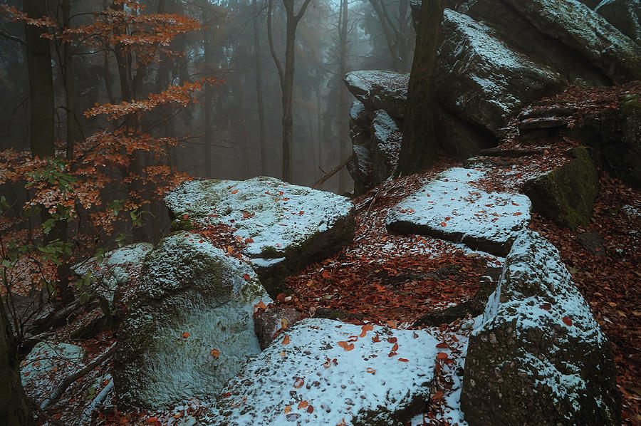 Gothic Rocks. In Mysterious Woods Photograph by Jenny Rainbow