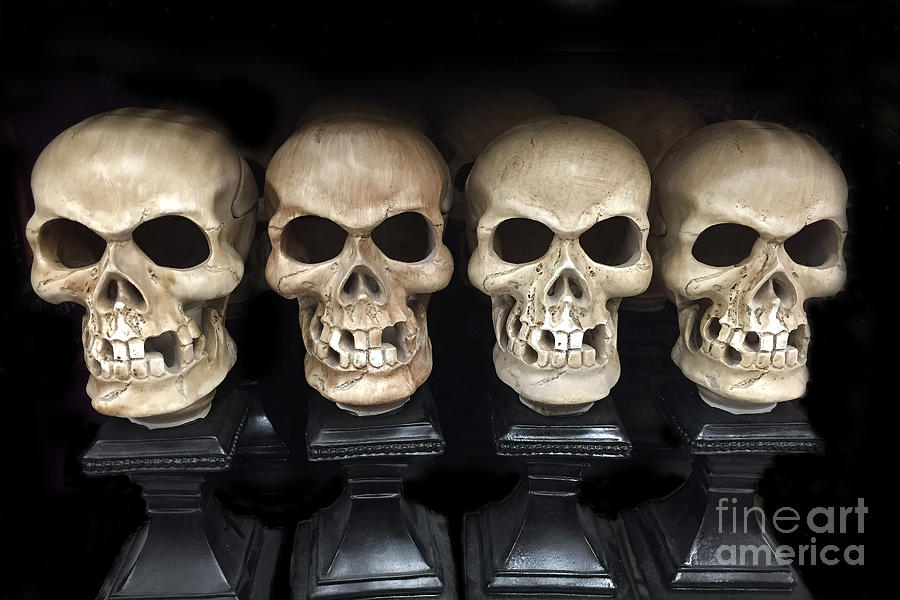 Spooky Scary Skeletons - Halloween Skeleton Black and White Spooky Gothic  Skull Skeleton Art Bath Towel by Kathy Fornal - Pixels