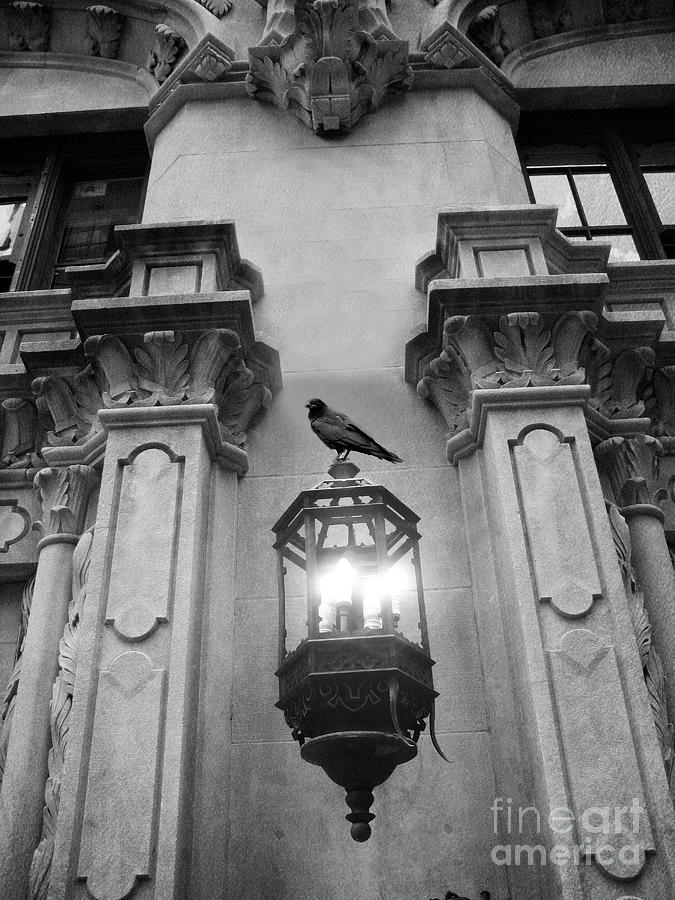 Gothic Surreal Black White Raven On Lantern Lamp Post Photograph by Kathy Fornal