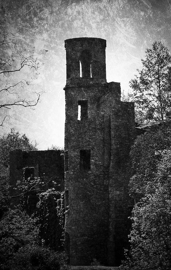 Gothic Tower at Blarney Castle Ireland Photograph by Teresa Mucha