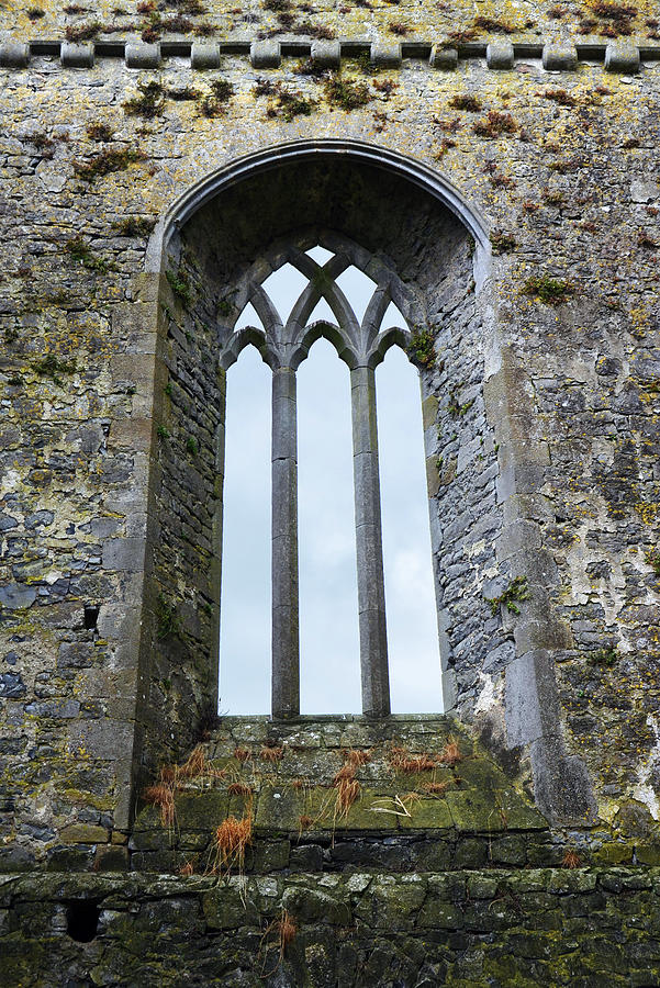 Gothic Window Athassel Priory Ireland County Tipperary Medieval Ruins Photograph by Shawn OBrien