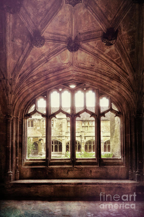 Gothic Window Photograph by Jill Battaglia