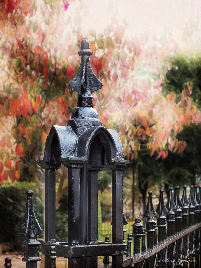 Gothic Wrought Iron Fence Autumn Season Photograph by Melissa Bittinger