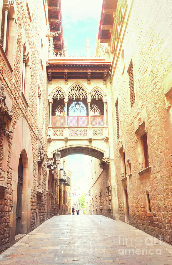 Gotic Quarter of Barcelona Photograph by Anastasy Yarmolovich