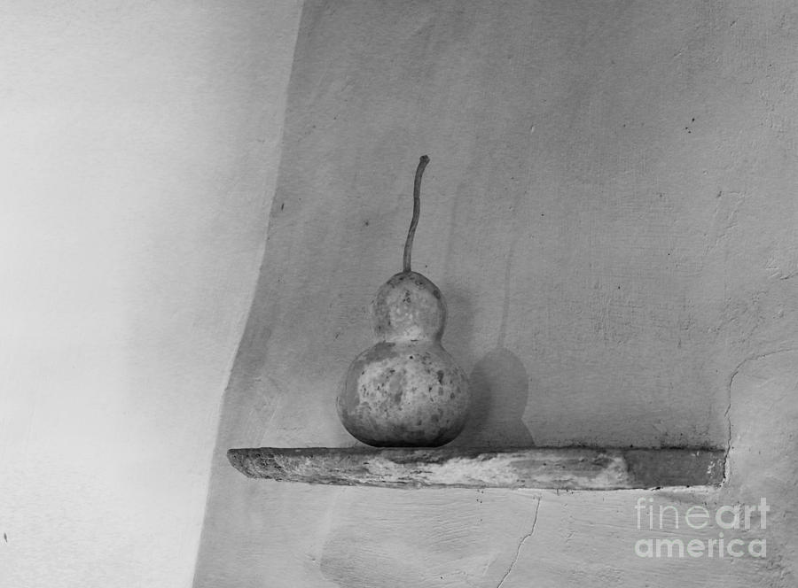 Gourd Black and White Photograph by Jeanette French