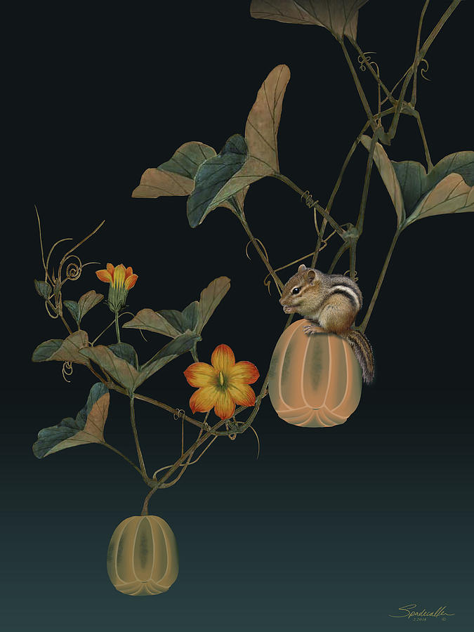 Gourd Vine and Chipmunk Digital Art by M Spadecaller