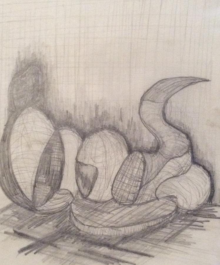 Gourds Drawing by Erika Jean Chamberlin