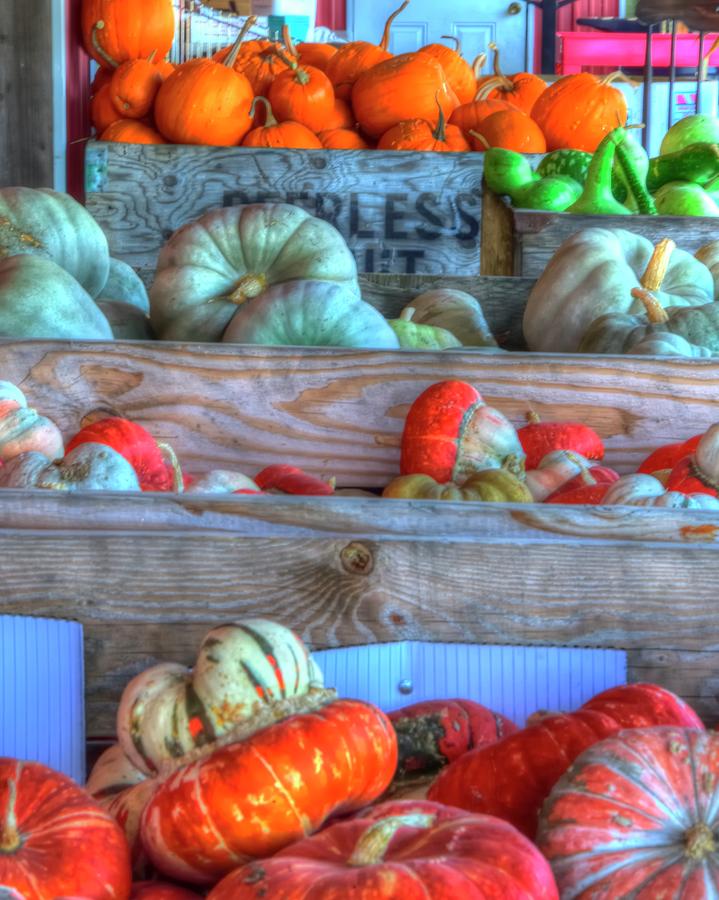 Gourds Of Autumn Photograph by Jerry Sodorff