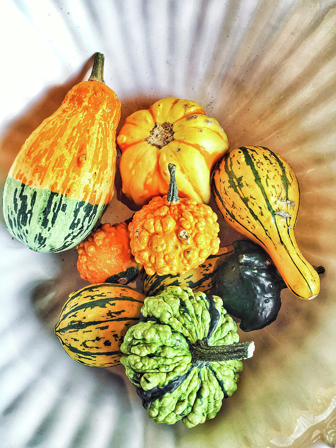 Gourds Photograph by Tom Gowanlock
