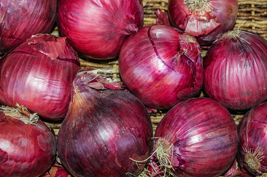 Gourmet Red Onions Photograph by Tikvahs Hope