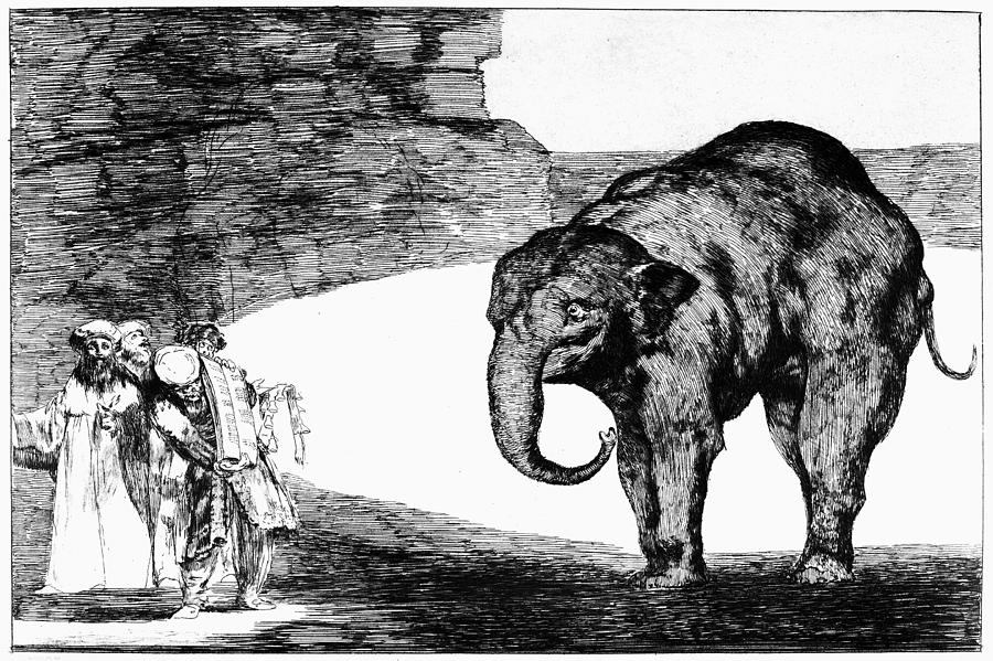 ELEPHANT, c1820 Drawing by Francisco Goya